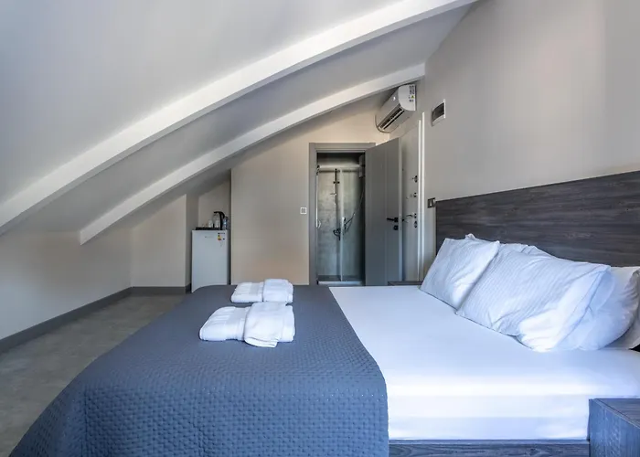Loi Suite